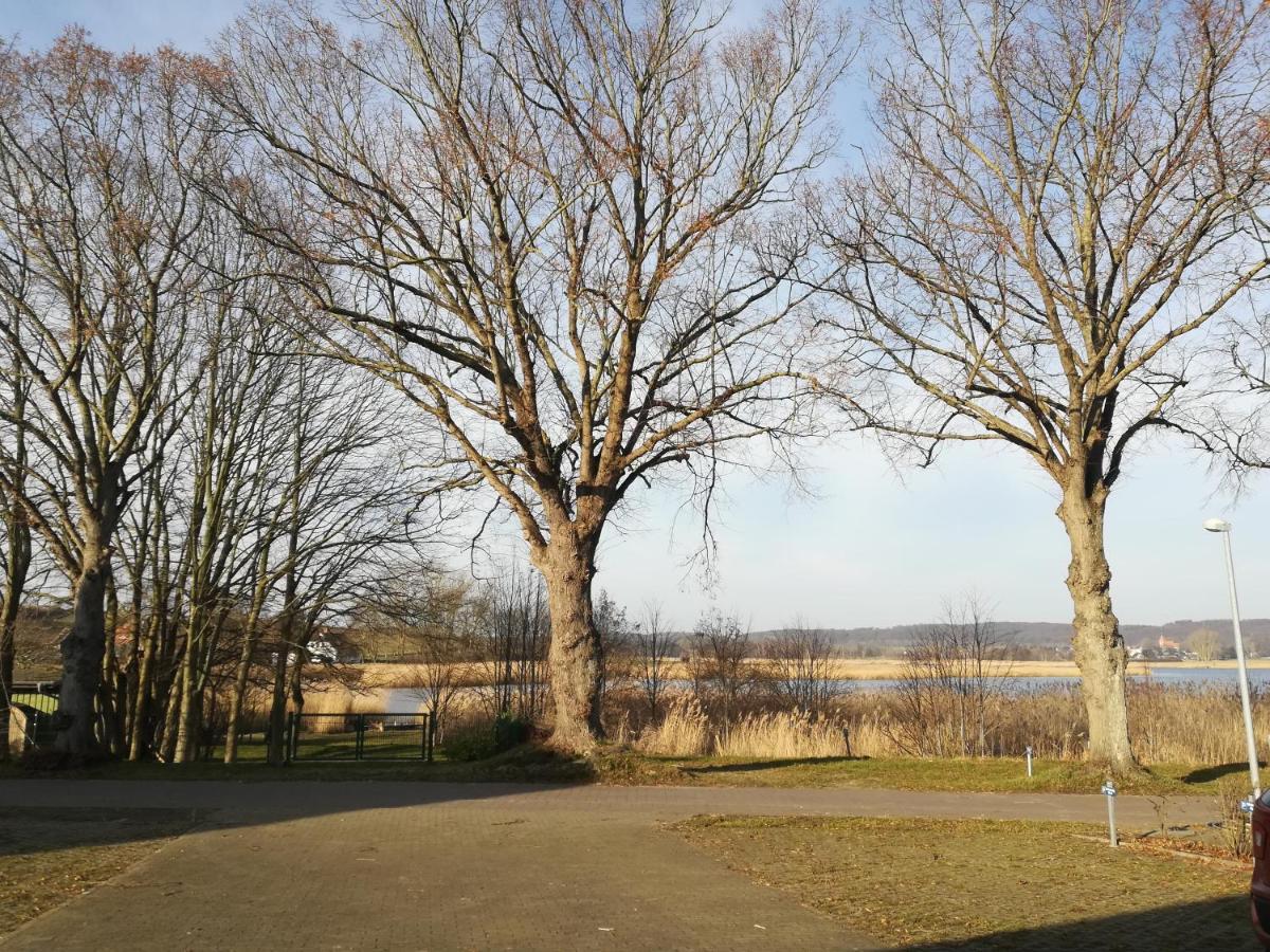 Sellin - Seedorf Am Neuensiener See Apartment 08 Esterno foto